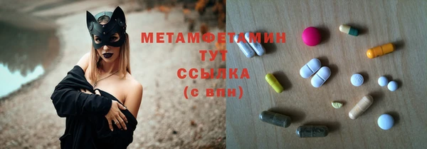 шишки Каменногорск