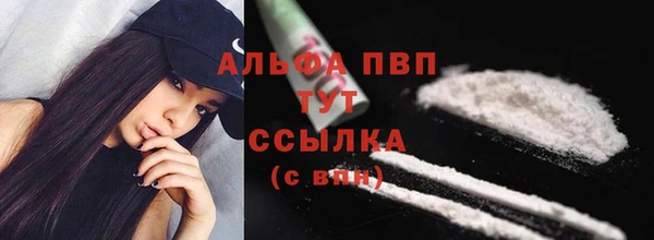 скорость Каменка