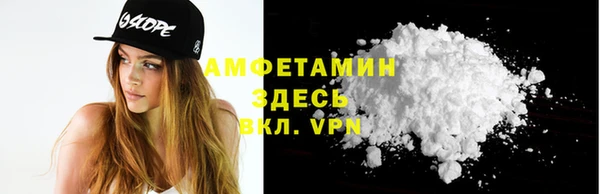 шишки Каменногорск