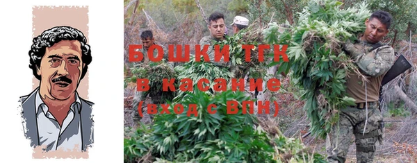 шишки Каменногорск