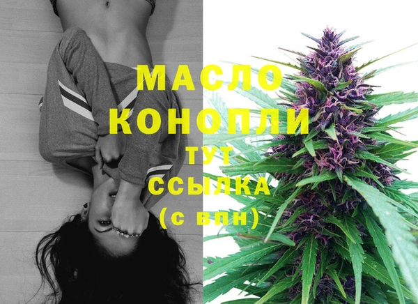скорость Каменка