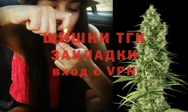 шишки Каменногорск