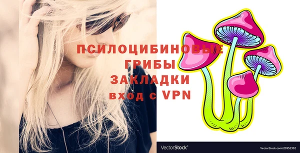 скорость Каменка