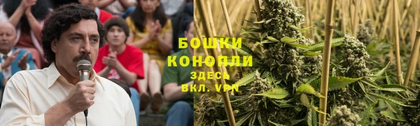 шишки Каменногорск