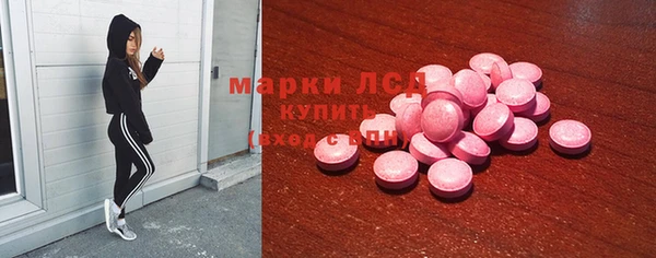скорость Каменка