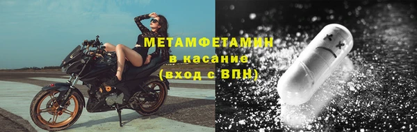 шишки Каменногорск