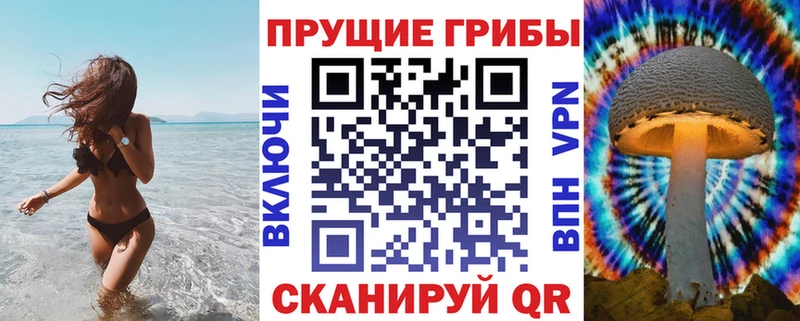 Купить где  Волгореченск  Псилоцибиновые грибы Psilocybine cubensis 