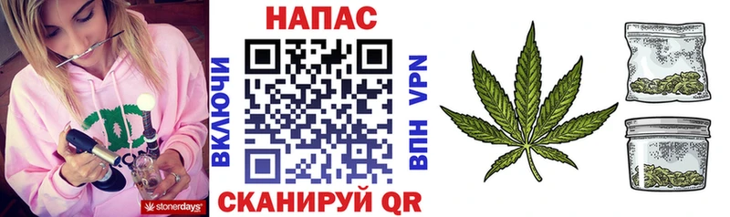 Купить где  Волгореченск  Бошки марихуана гибрид 